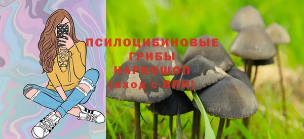 твердый Вязьма