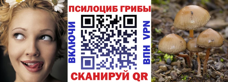 Галлюциногенные грибы мицелий  Зерноград 